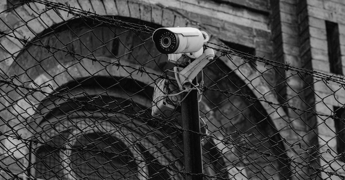 découvrez la signification et l'importance de l'observation, une compétence essentielle pour analyser, comprendre et interpréter le monde qui nous entoure dans divers domaines, de la science à l'éducation.