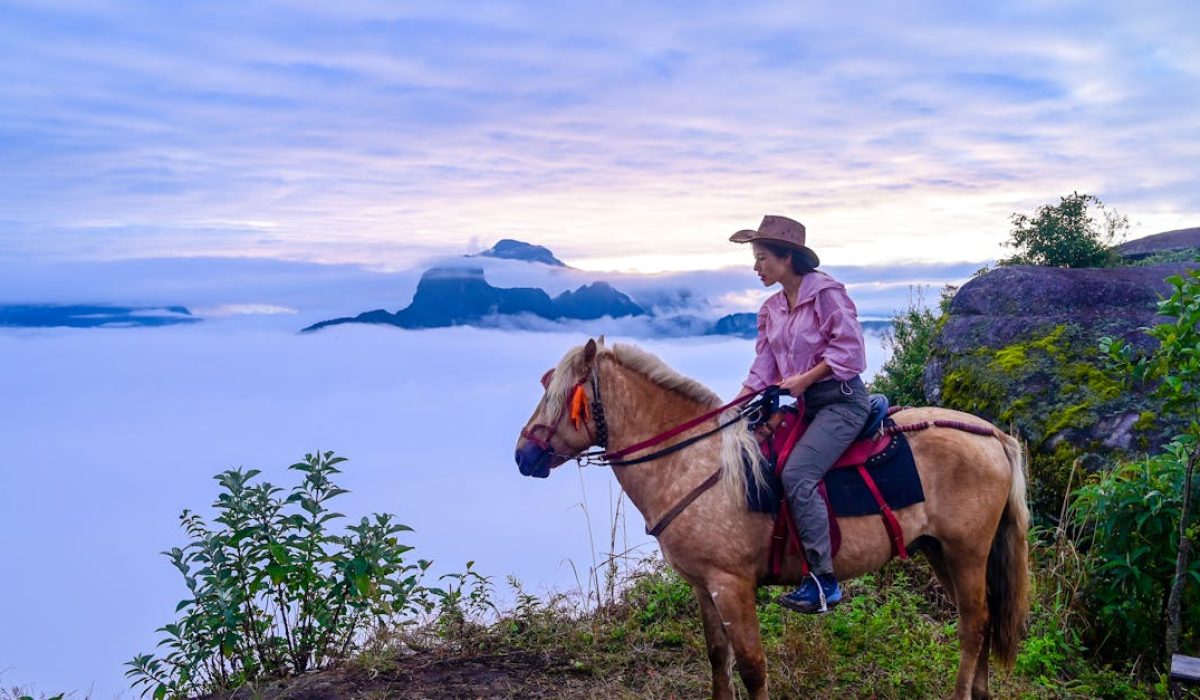 découvrez tout ce qu'il faut savoir sur l'observation : définition, méthodes, types, et importance de l'observation dans la recherche, l'apprentissage et la vie quotidienne.